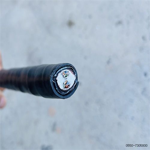 特种电缆厂家206.jpg 特种电缆厂家206.jpg