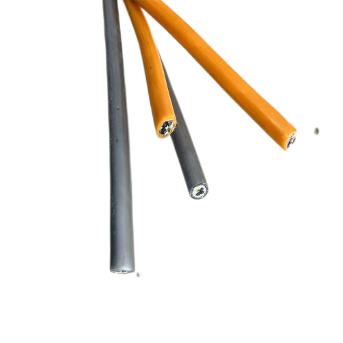 IMG_4509.png