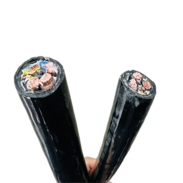 ��������12345161.png