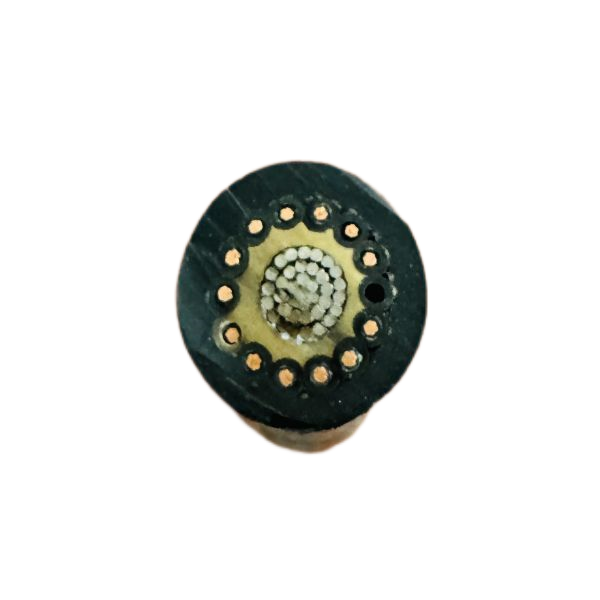 256f2b63d162e82d382023e4db2e8a54 - ����.png