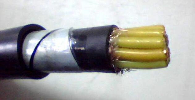 和记娱乐��H88(�й���)���鲩�����