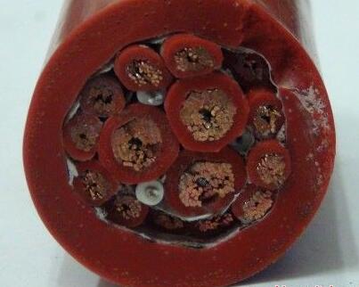 和记娱乐H88(й)鲩