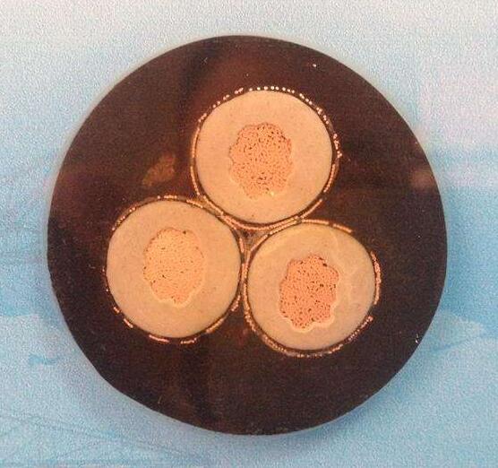 和记娱乐H88(й)鲩