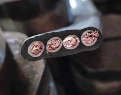 和记娱乐��H88(�й���)���鲩�����