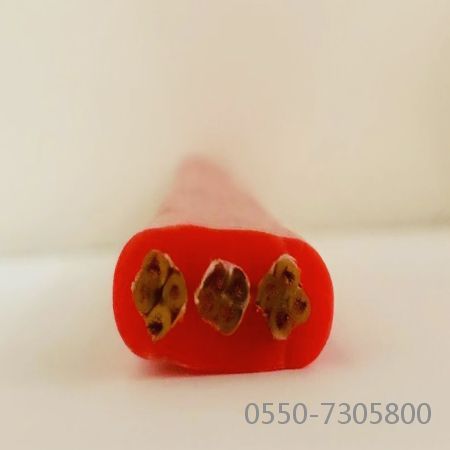 和记娱乐��H88(�й���)���鲩�����