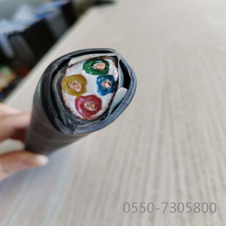 和记娱乐��H88(�й���)���鲩�����