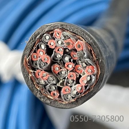 和记娱乐��H88(�й���)���鲩�����