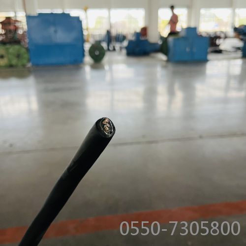 和记娱乐��H88(�й���)���鲩�����