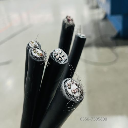 和记娱乐��H88(�й���)���鲩�����