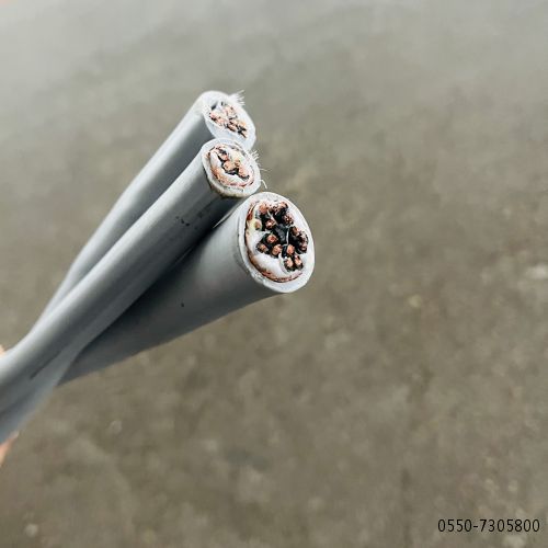 和记娱乐��H88(�й���)���鲩�����