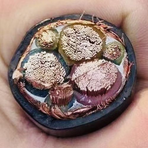 和记娱乐H88(й)鲩