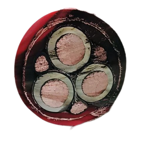 和记娱乐H88(й)鲩