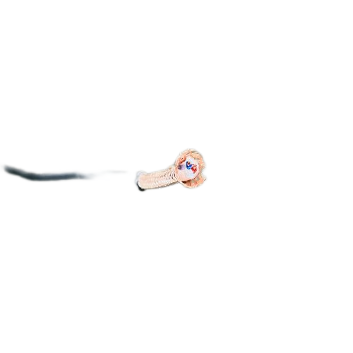 和记娱乐��H88(�й���)���鲩�����