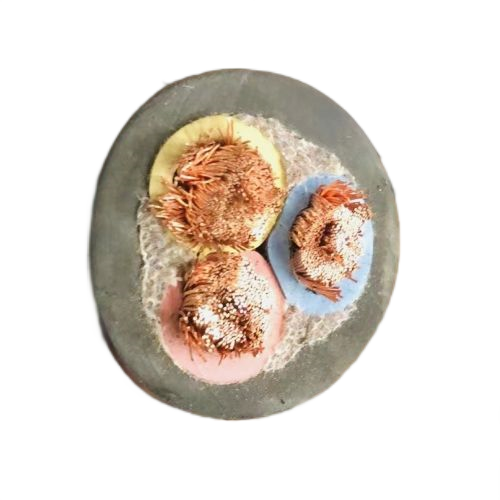 和记娱乐·H88(中国游)怡情博娱官网