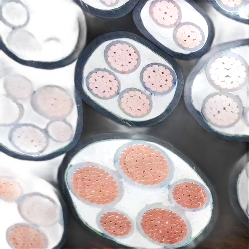 和记娱乐·H88(中国游)怡情博娱官网