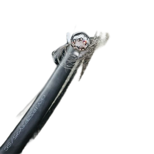 和记娱乐H88(й)鲩