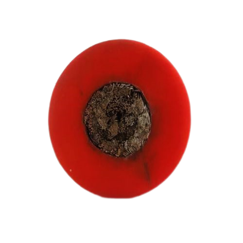 和记娱乐H88(й)鲩